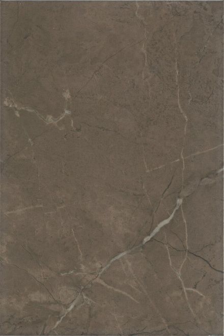 Керамическая плитка эль-реаль коричневый 8316 20x30