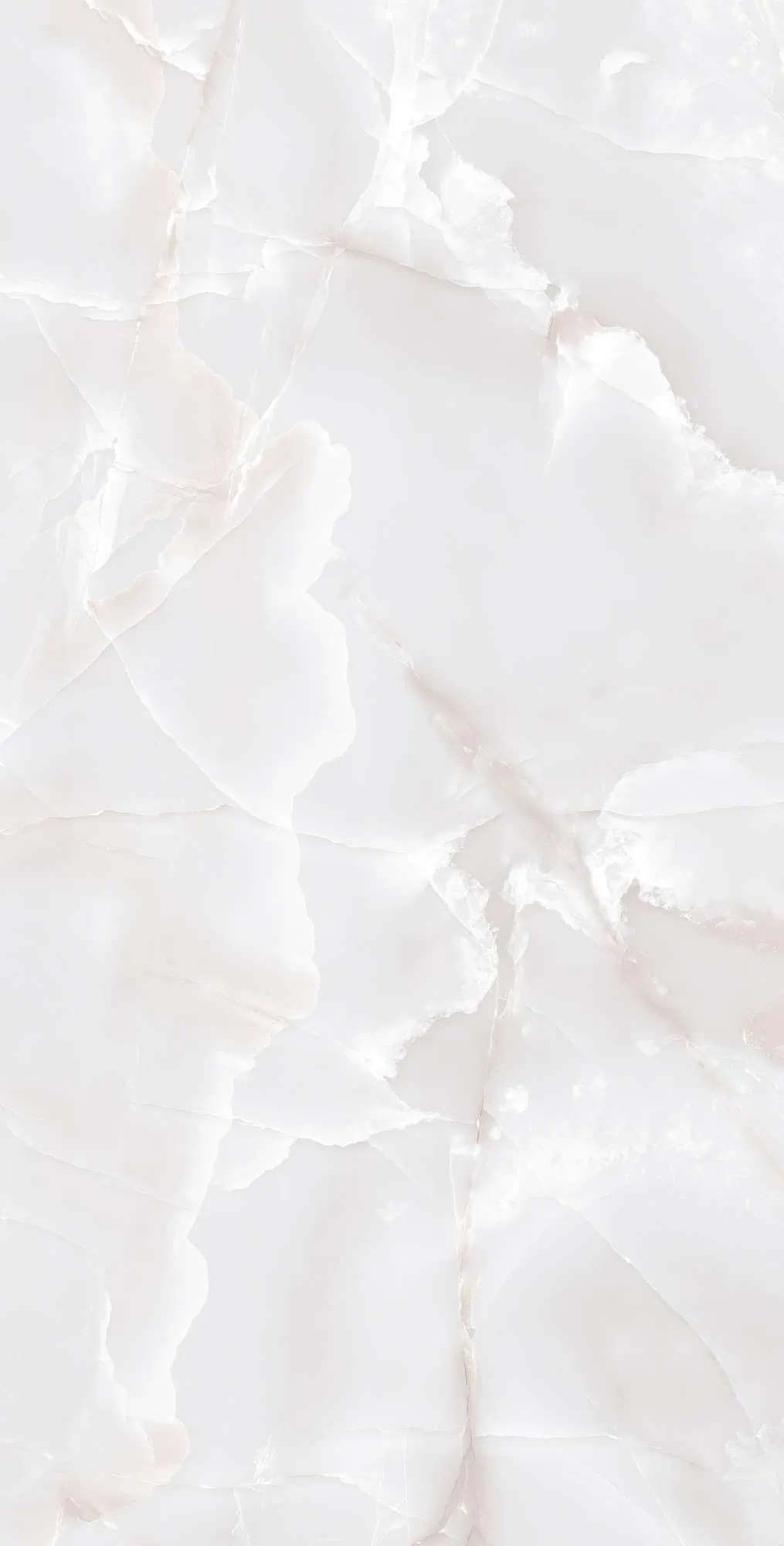 Керамогранит Аркадия Керамика fp1017-a primo onyx grey full polished серый 60x120