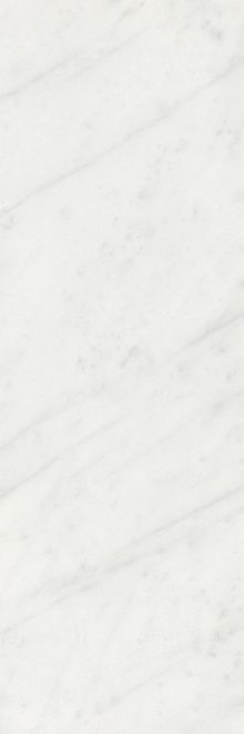 Керамическая плитка Борсари белый обрезной 12103r 25x75