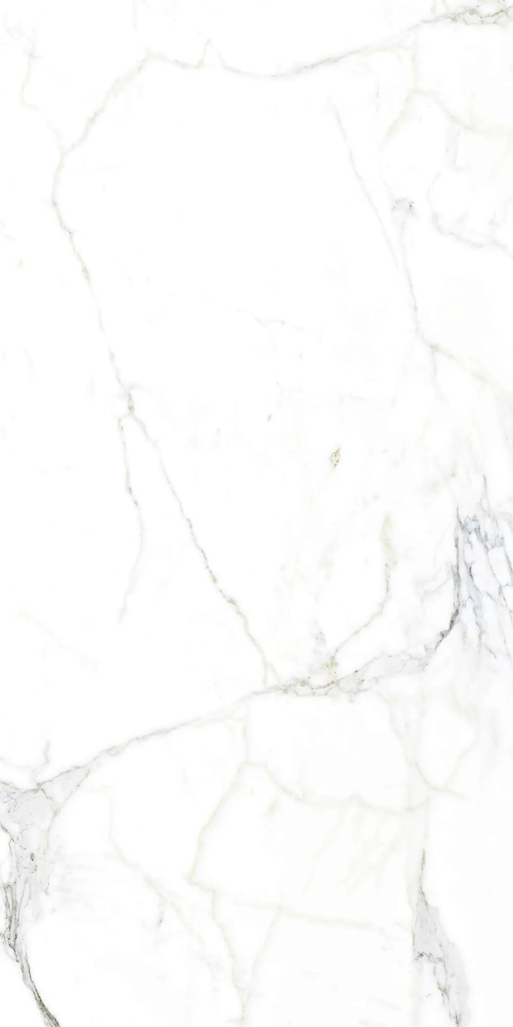 Керамогранит Аркадия Керамика fp1002-a luce statuario full polished белый 60x120