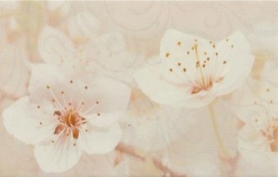 Керамическая плитка сакура коричневый декор 03 25x40