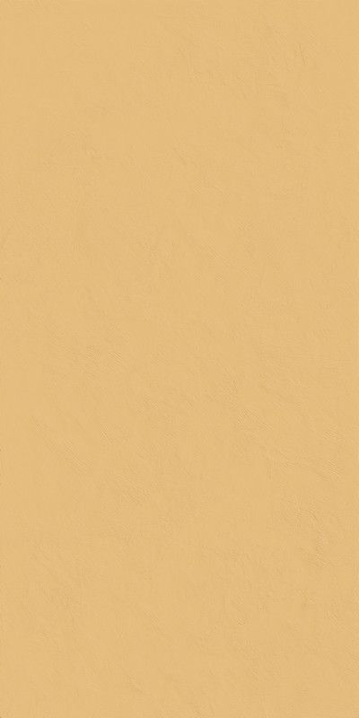 Керамогранит СЕРФЕЙС САН 60x120