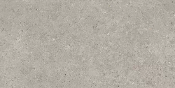 Керамогранит kerama marazzi sg519920r Риккарди серый светлый матовый обрезной 60x119.5