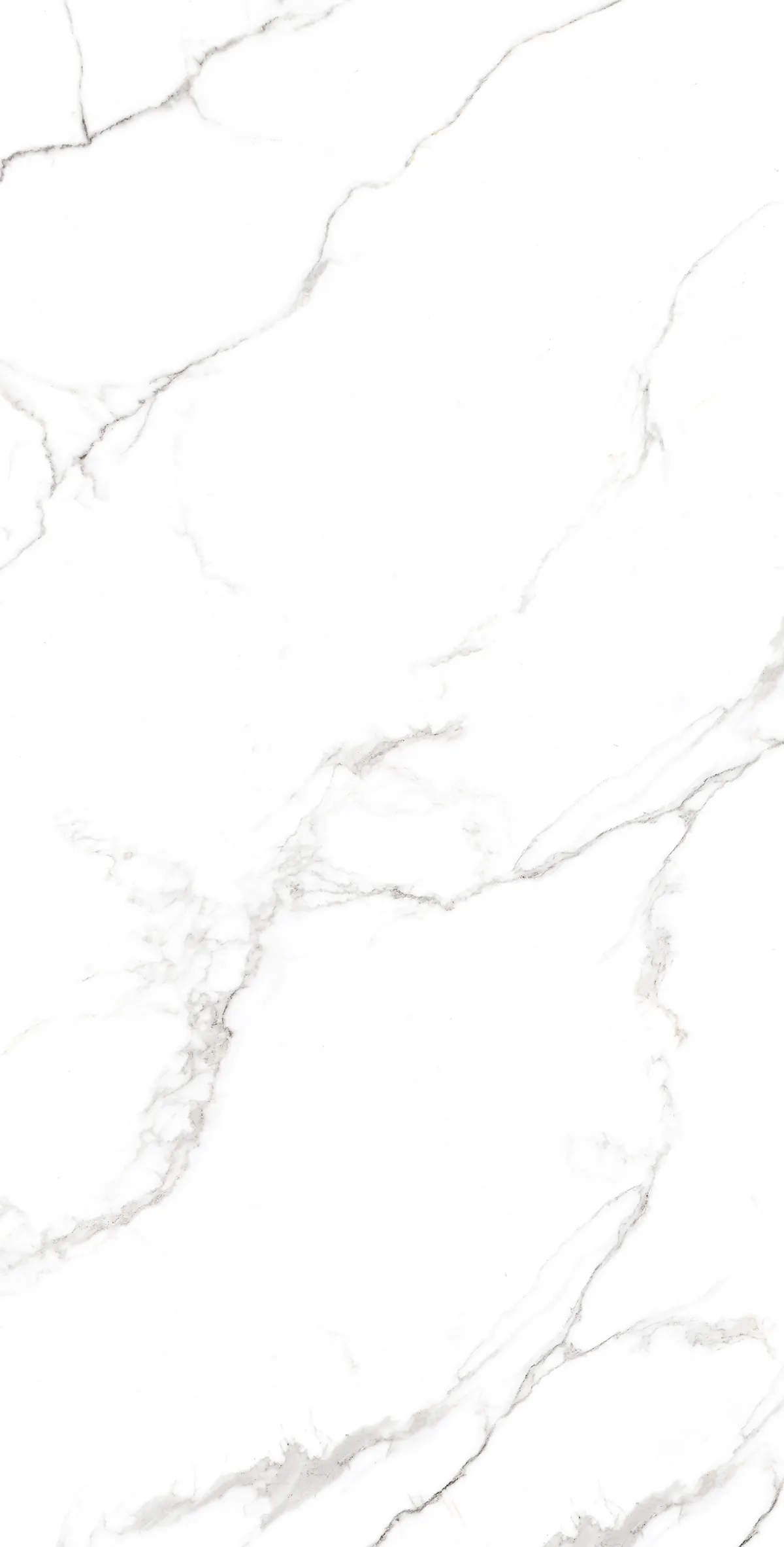 Керамогранит Аркадия Керамика fp1039-a statuario fine full polished белый 60x120