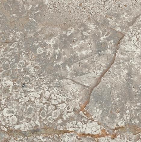 Керамогранит empire silver root bottone lap 7,2x7,2