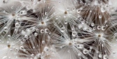 Керамическая плитка джерси декор белый 30x60