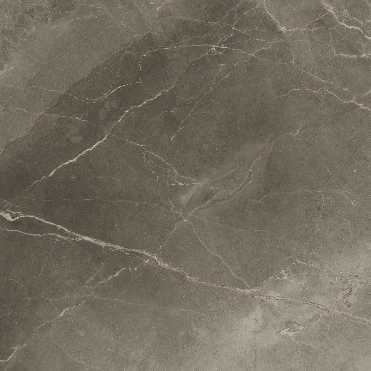 Керамогранит allure grey beauty rett 60x60