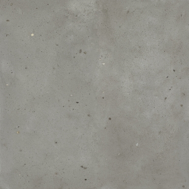 Керамогранит Италон Авангард Айрон 600010001807 серый 120x120