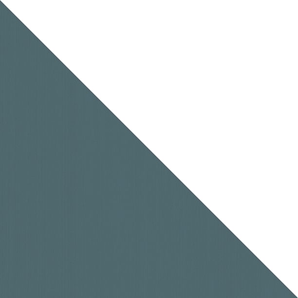 Керамическая плитка ЭЛЕМЕНТ ПЕТРОЛИО ЭДЖ 24,5x24,5