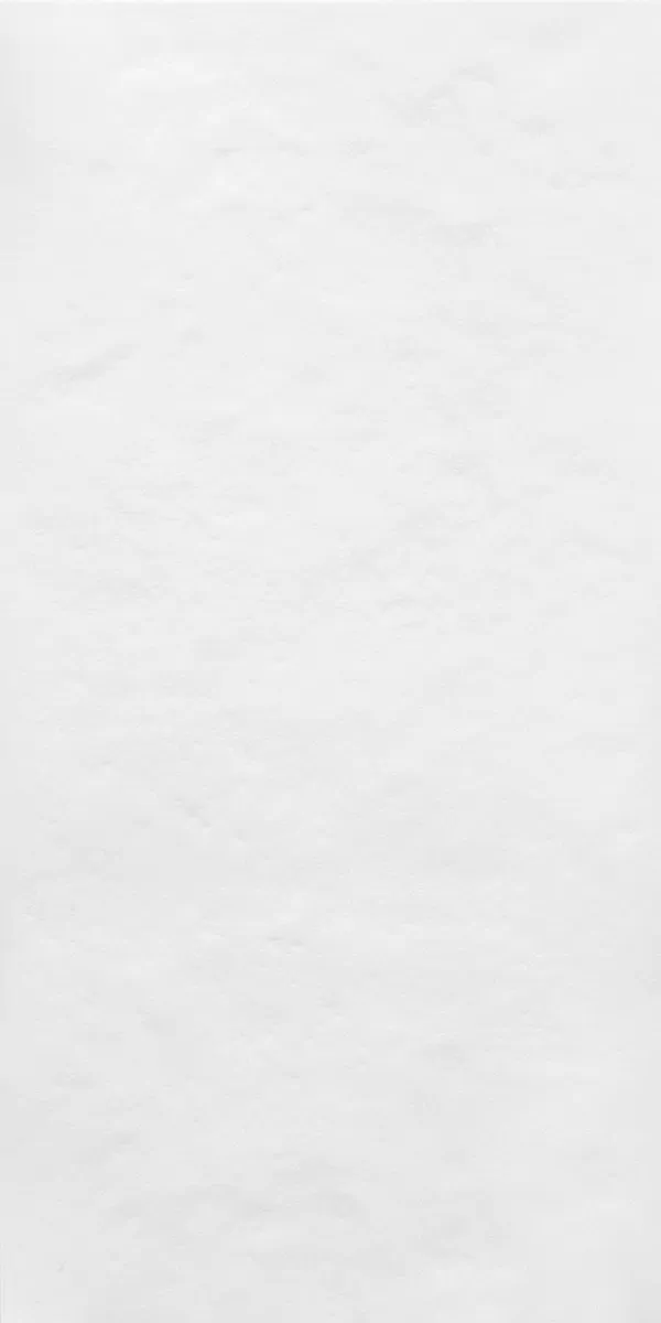 Керамическая плитка kerama marazzi 48017r Беллони белый матовый структура обрезной 40x80