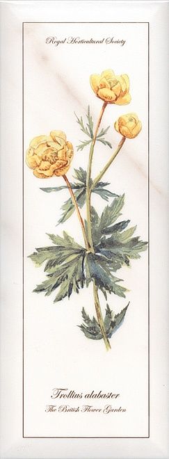 Керамическая плитка декор ноттингем цветы грань nt\a86\15005 15x40