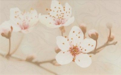 Керамическая плитка сакура коричневый декор 02 25x40