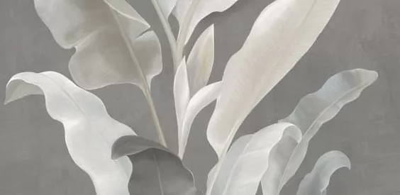 Керамическая плитка Декор lasselsberger Янссон 7360-0018 серый 30x60 30x60