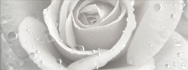 Керамическая плитка Декор Уайтхолл Роза 15x40