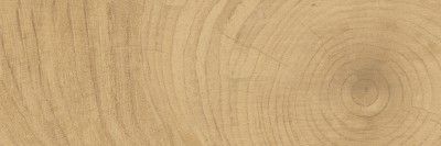 Керамогранит time ring honey 20x60