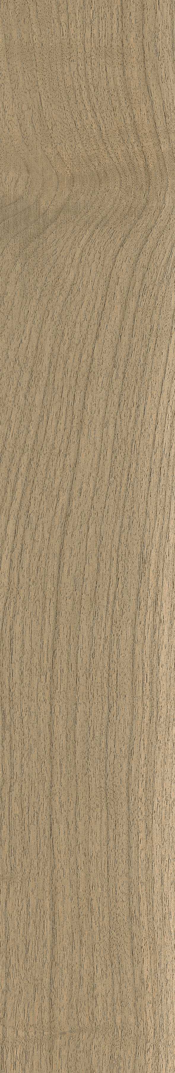 Керамогранит coliseumgres Бормио Хани 610010004068 бежевый 20x120