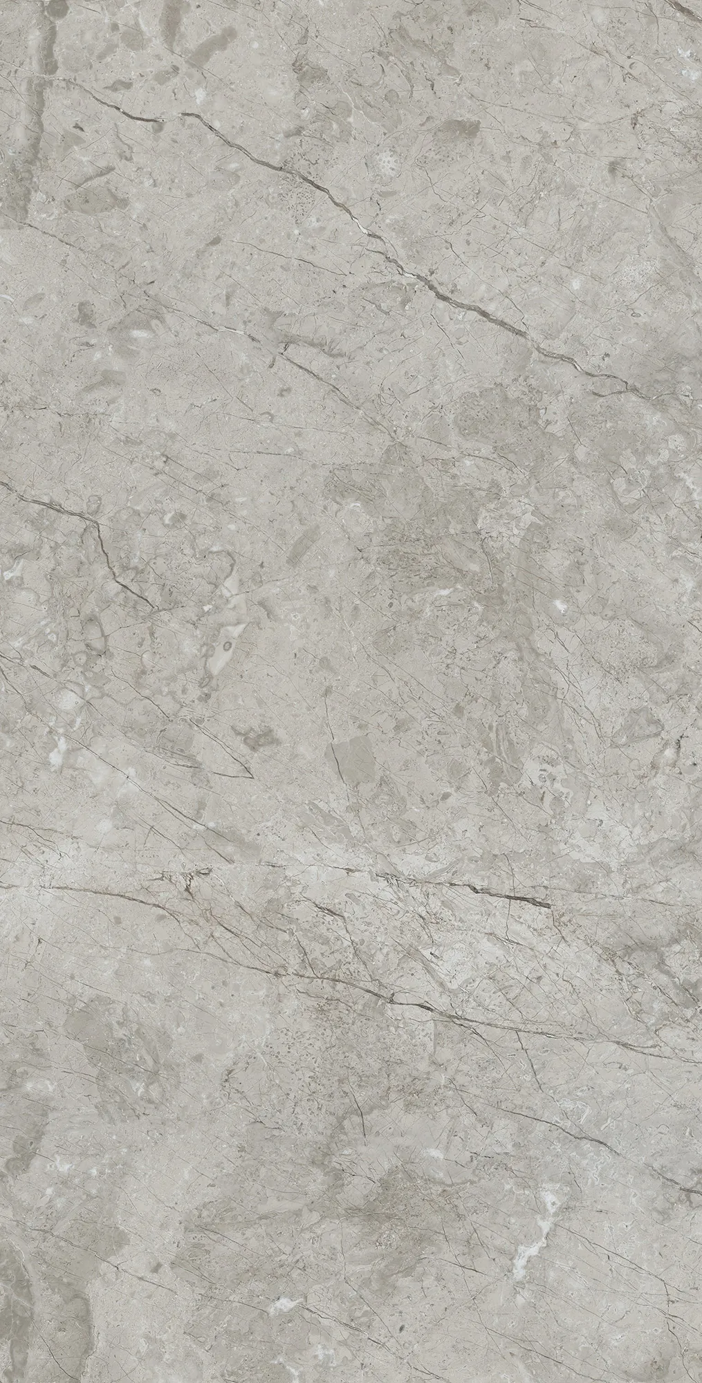 Керамогранит Аркадия Керамика rt7017-a marcus gracia matt rustic серый 60x120