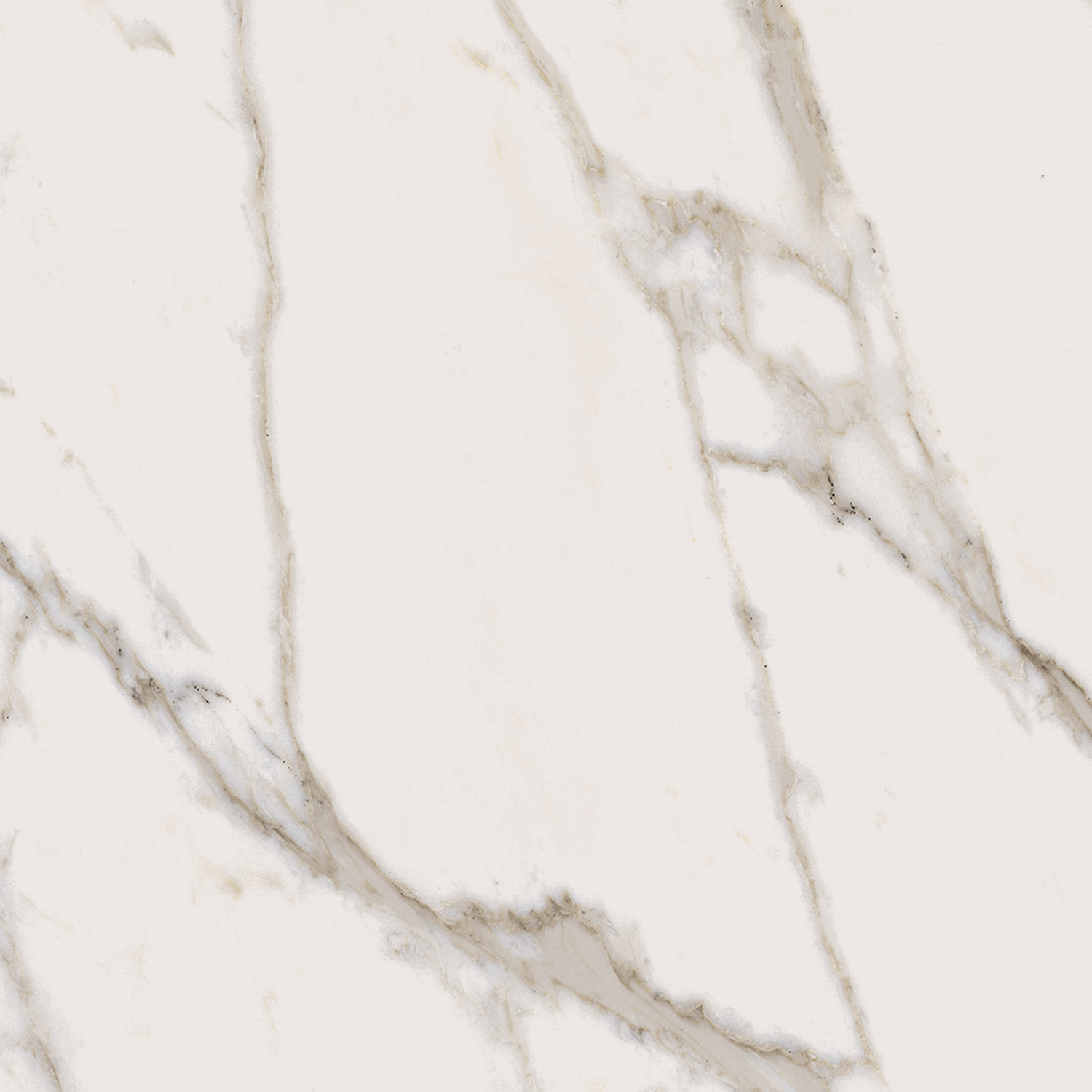 Керамогранит ШАР.ЭВО КАЛАКАТТА 60x60