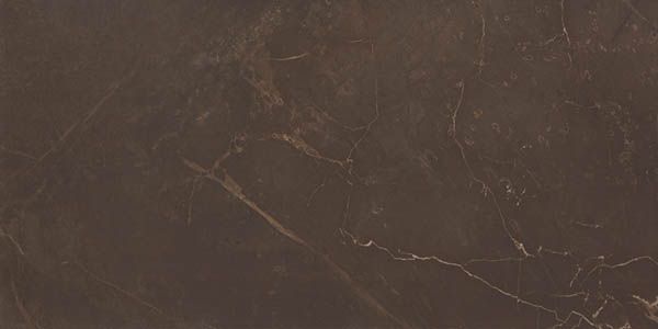 Керамическая плитка marble marron 24,9x50