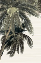 Керамическая плитка Панно alma ceramica Дель Маре pwu09dlm3 зеленый 50x74.7