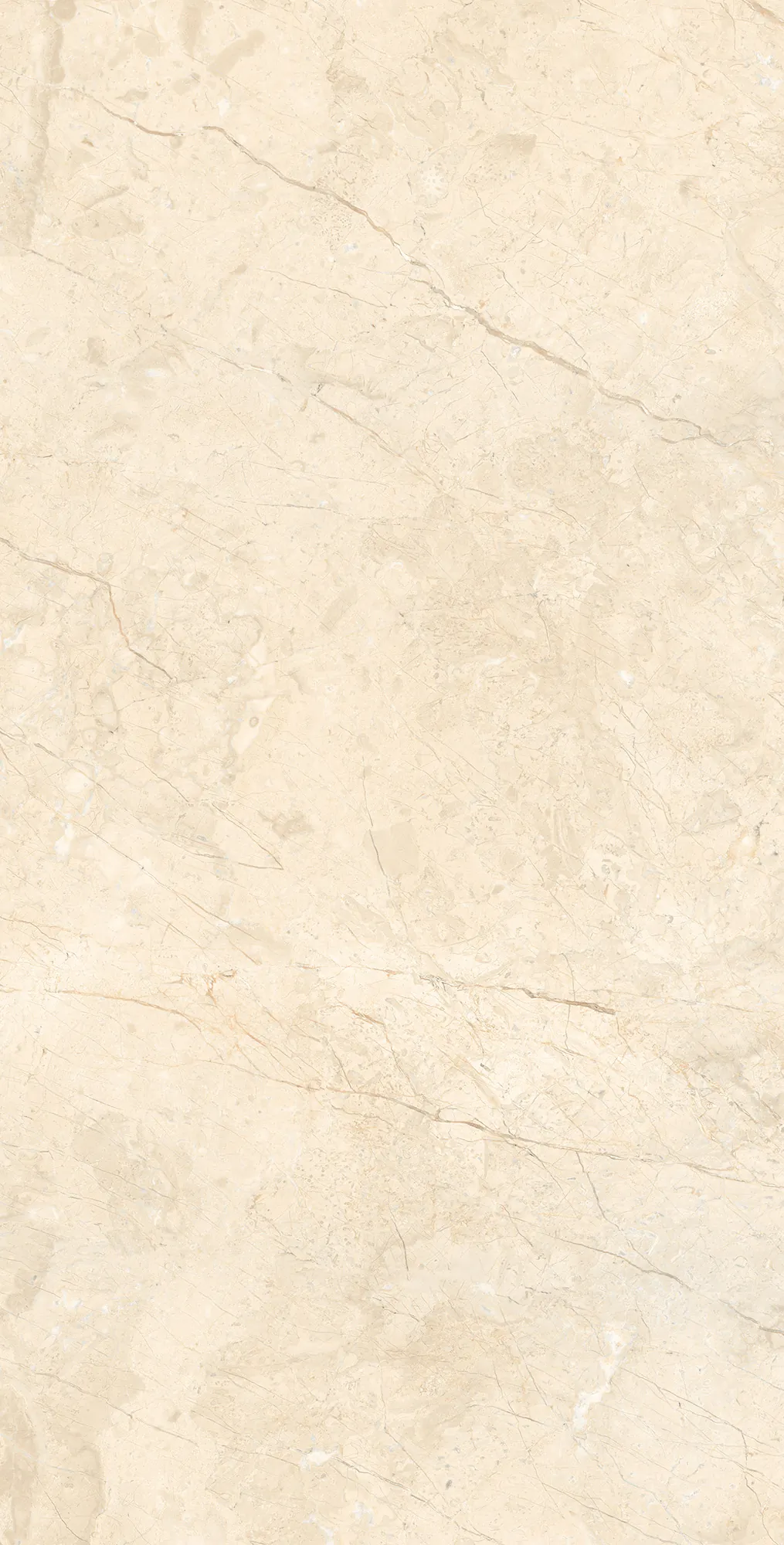 Керамогранит Аркадия Керамика rt7016-a marcus cremano matt rustic бежевый 60x120