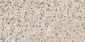 Керамогранит marvel terrazzo mix warm lappato 30x60