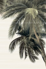 Alma Ceramica (Уралкерамика) DEL MARE разноцветный 