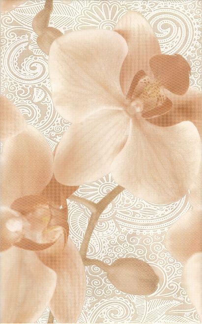 Керамическая плитка декор сомерсет hgd\a05\6249 25x40