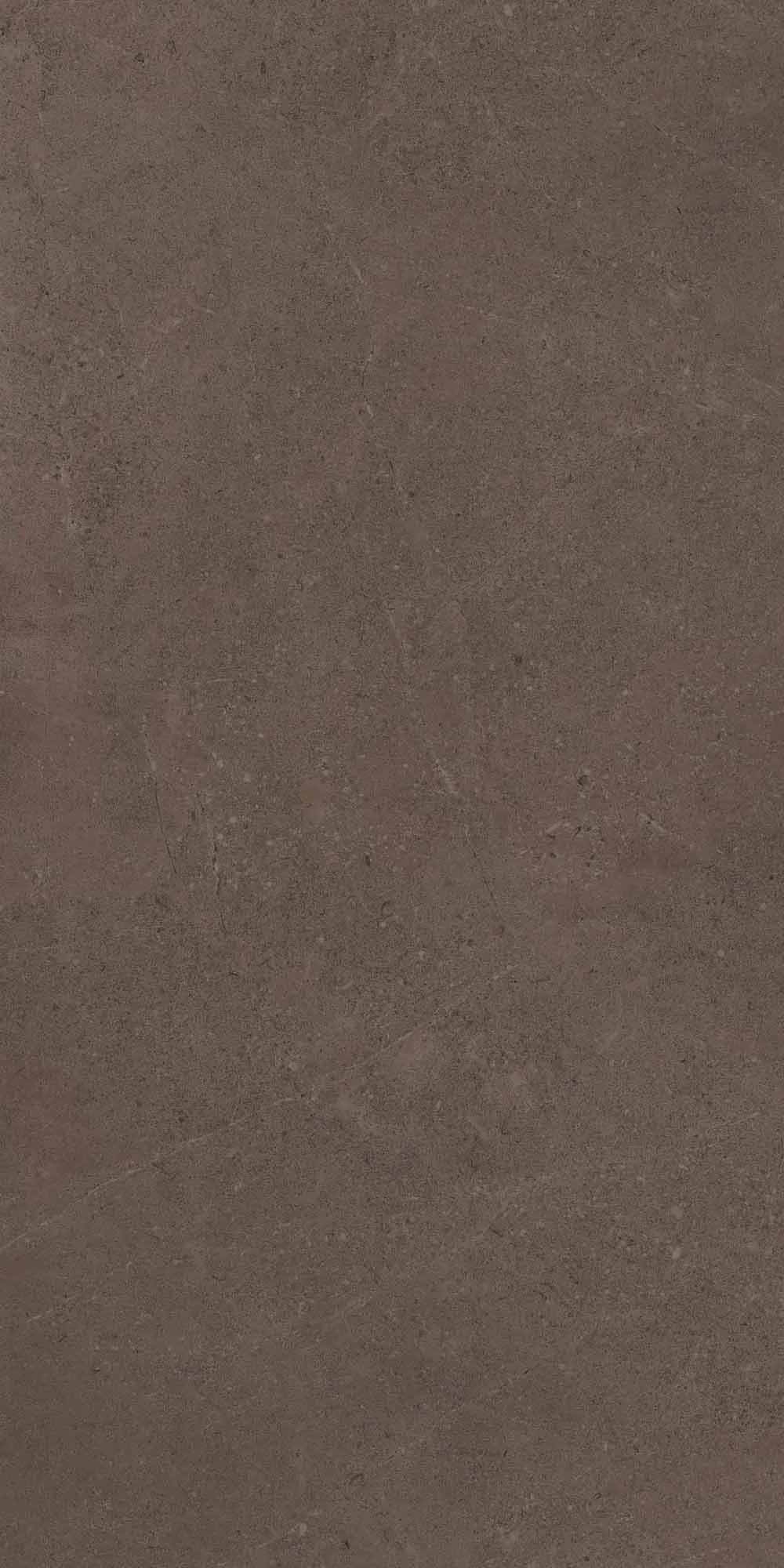 Керамогранит estima go03 gobi brown grey коричневый 60x120