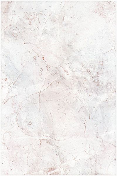 Керамическая плитка спасское-лутовиново 830 20x30