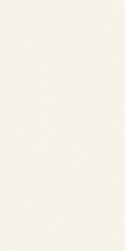 Керамическая плитка РУМ УАЙТ ТЕКСТУР 40x80