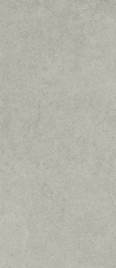 Керамогранит Италон Форум Стоун Сильвер 600180000082 серый 120x278
