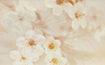 Керамическая плитка сакура коричневый декор 04 25x40