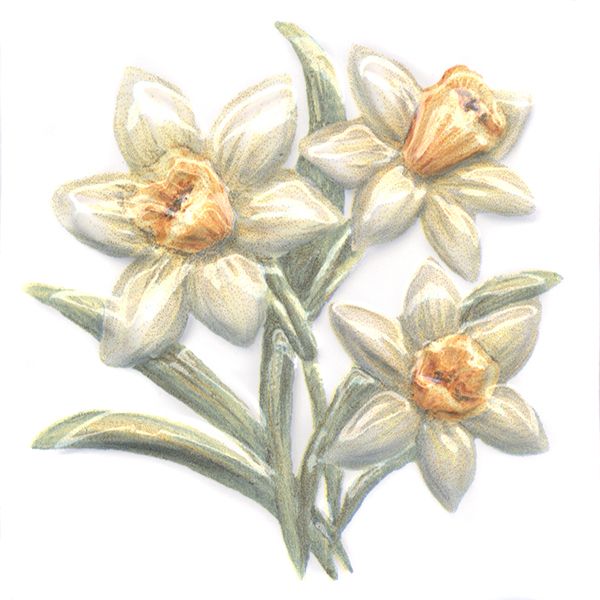 Керамическая плитка Декор Оранжерея Нарциссы 9,9x9,9