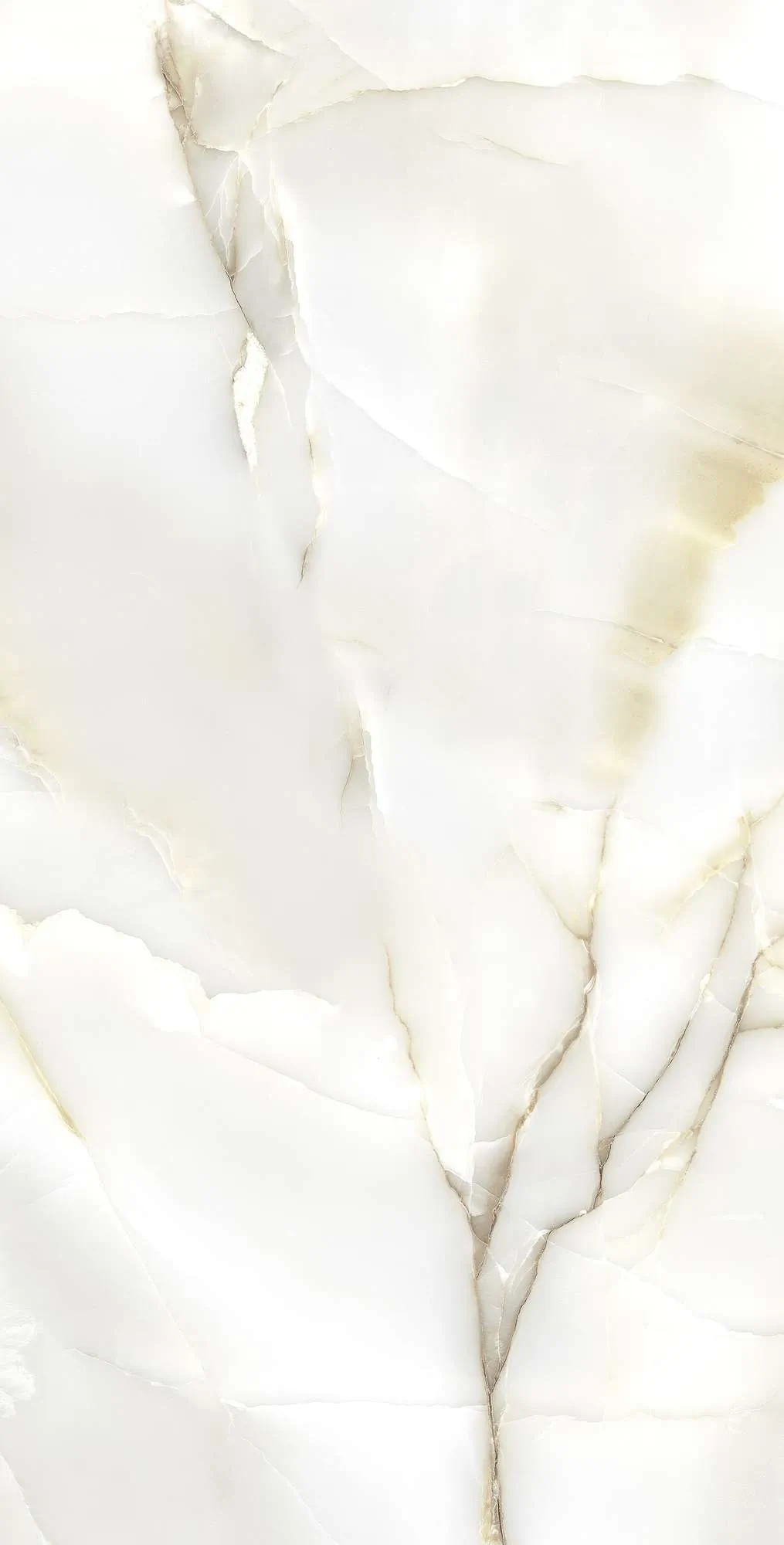 Керамогранит Аркадия Керамика fp1003-a primo onyx full polished белый 60x120