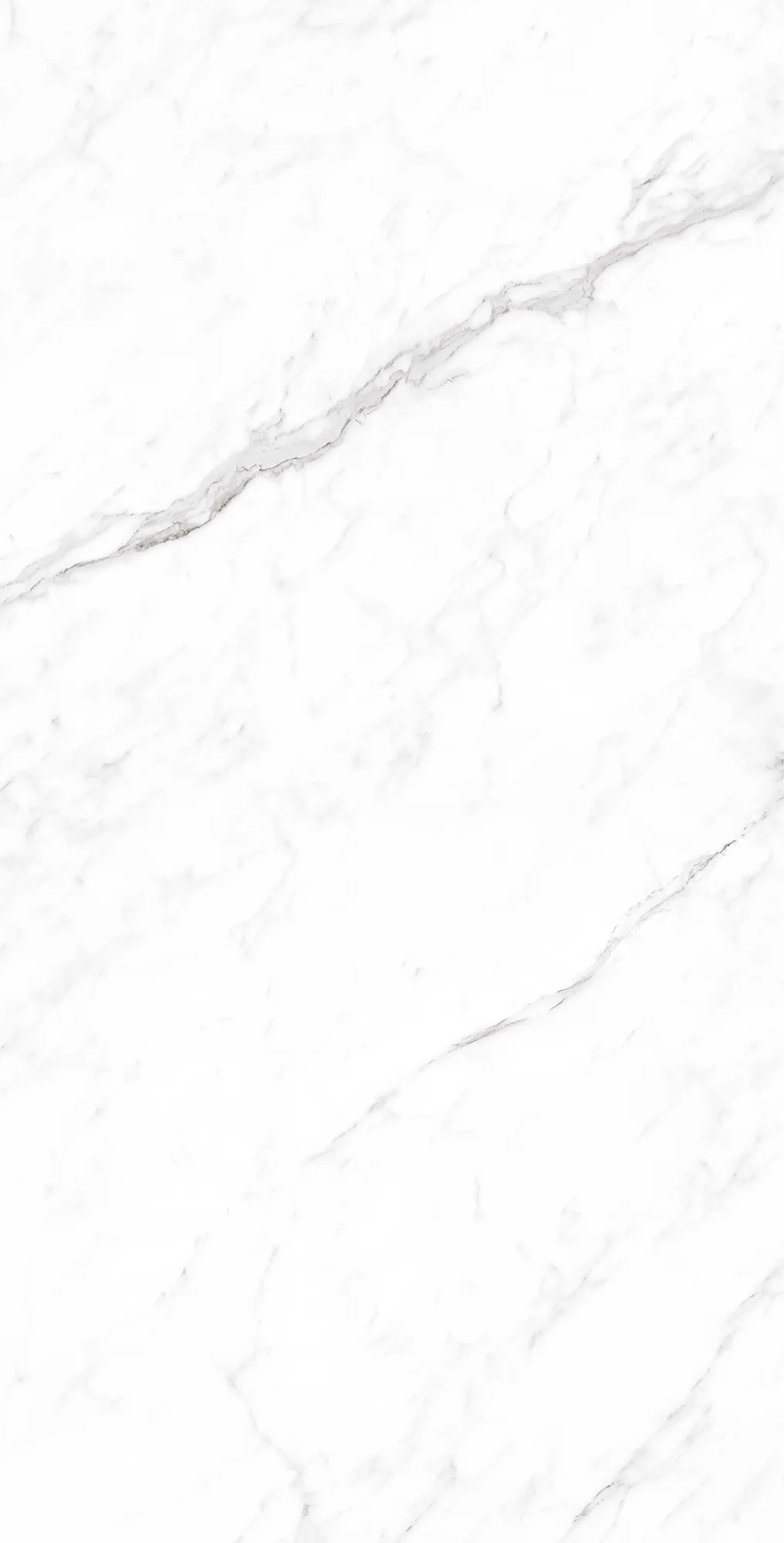 Керамогранит Креанза cp4003-a coralina white carving pro белый 60x120