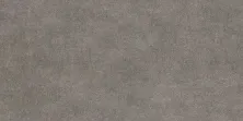 Керамогранит Альма Керамика Берлин/ berlin gfu60120bln70r серый 60x120