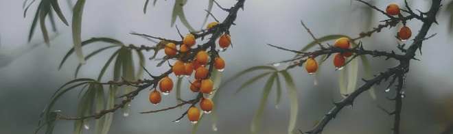 Керамическая плитка Декор Тракай 7 глянцевый 8,5x28,5