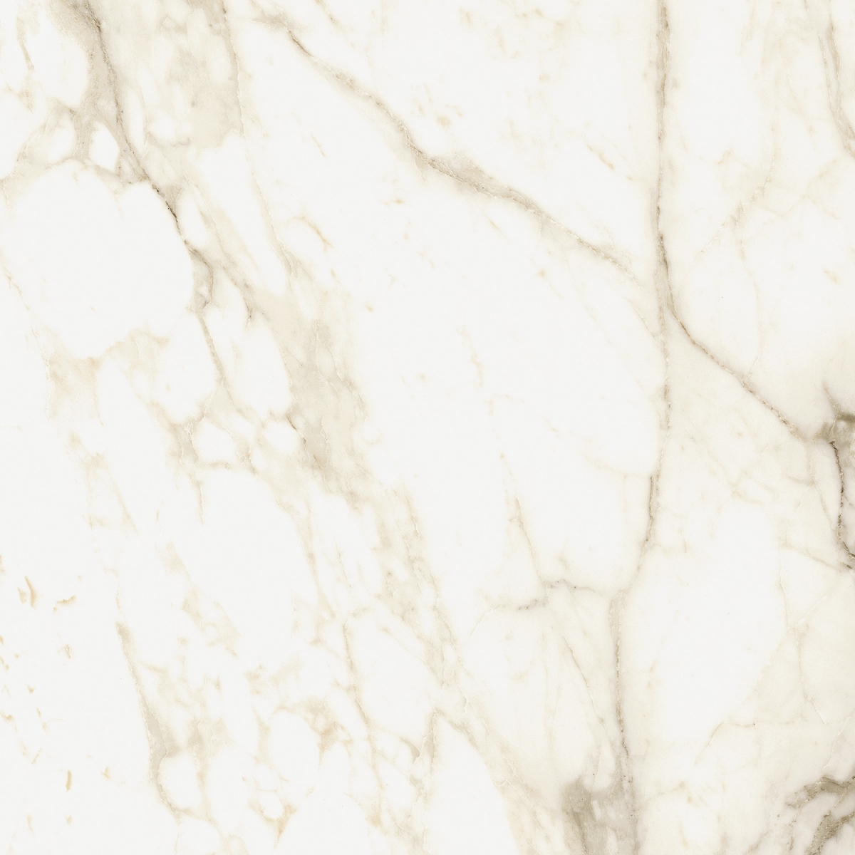 Керамогранит coliseumgres Микеланджело Ворм Рет 610010002748 белый 60x60