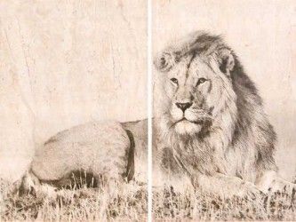 Керамическая плитка селлинг панно 02 30x40