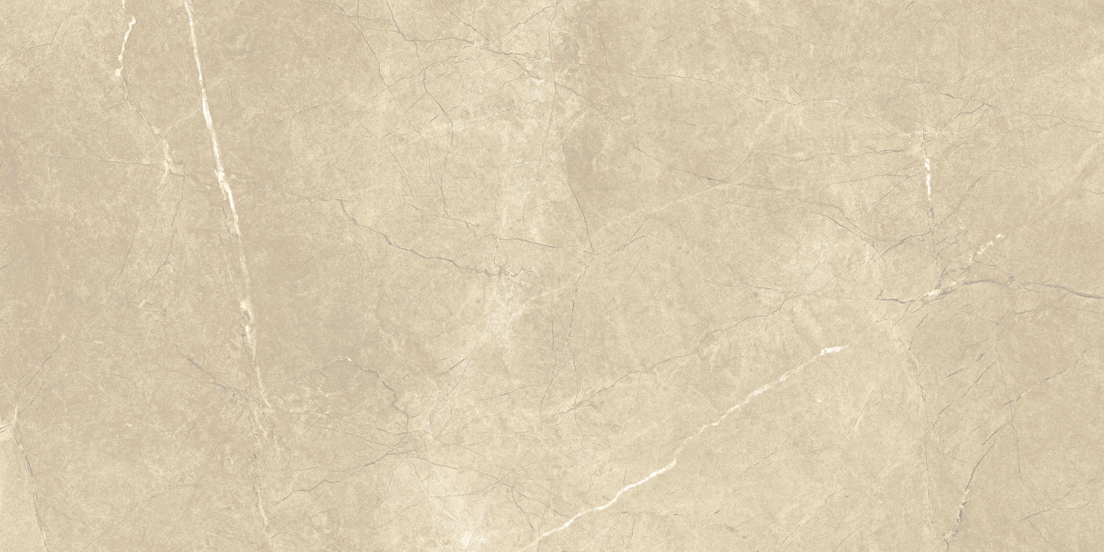 Керамогранит ШАР.ЭКС.АРКАДИА 60x120 РЕТ 60x120