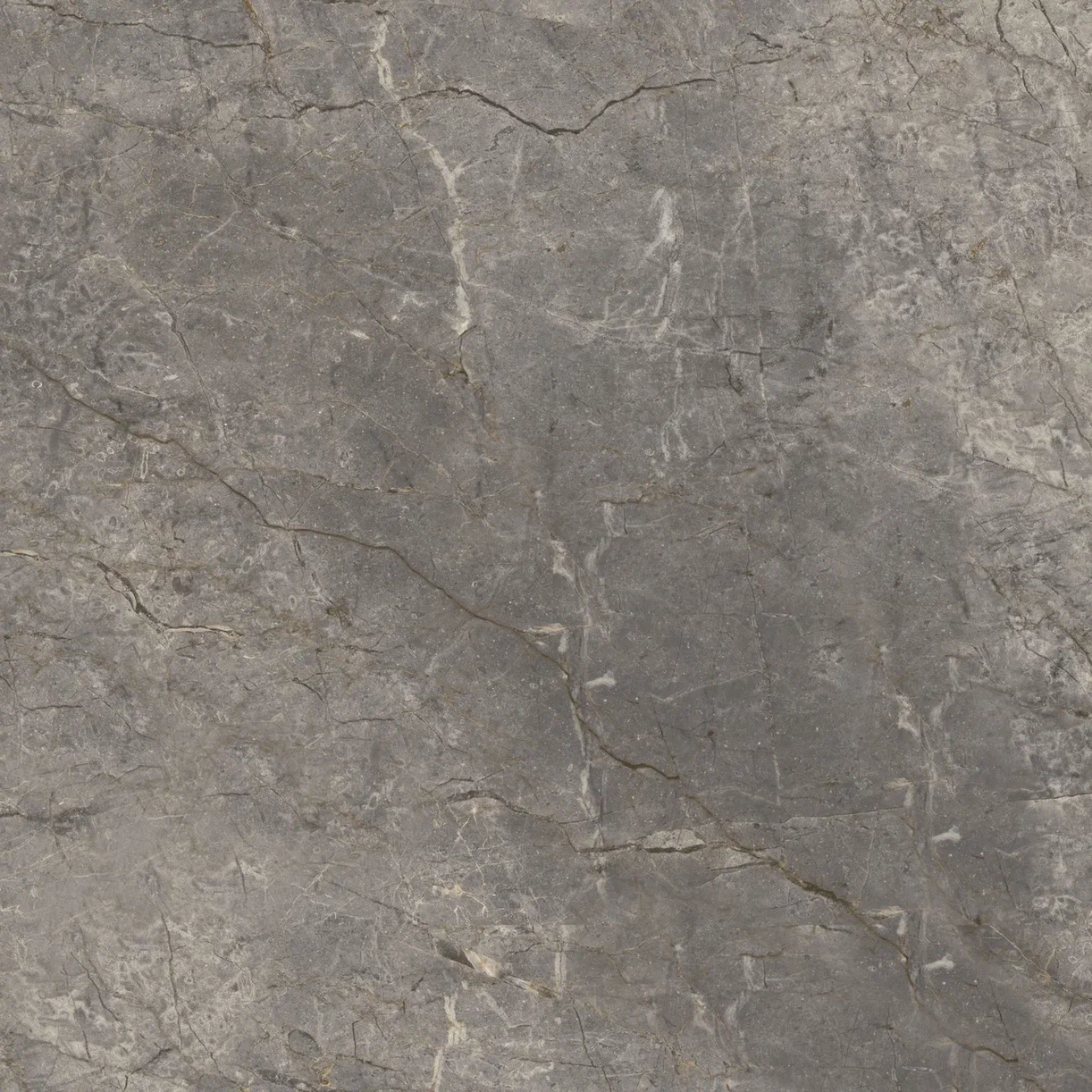 Керамогранит goldis tile sahara gray n9ba0ahna0a1lj серый 60x60
