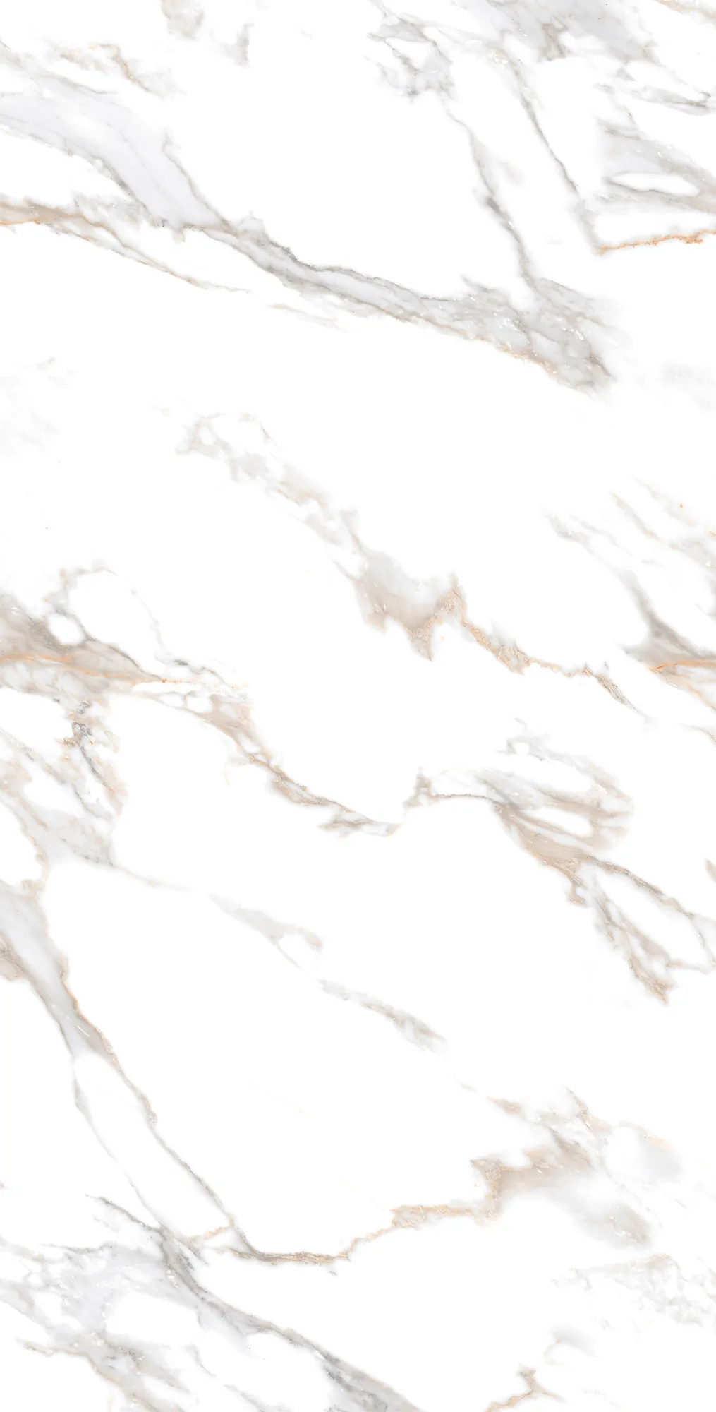 Керамогранит Аркадия Керамика cr4019-a calacatta gold carving белый 60x120