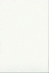 Керамическая плитка белая премиум 20x30