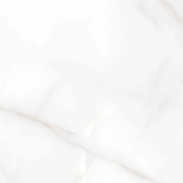 Керамогранит Аркадия Керамика rt6004-a feather onyx matt rustic белый 60x60