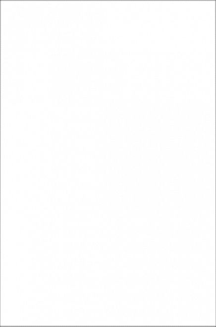 Керамическая плитка тигр белый 20x30