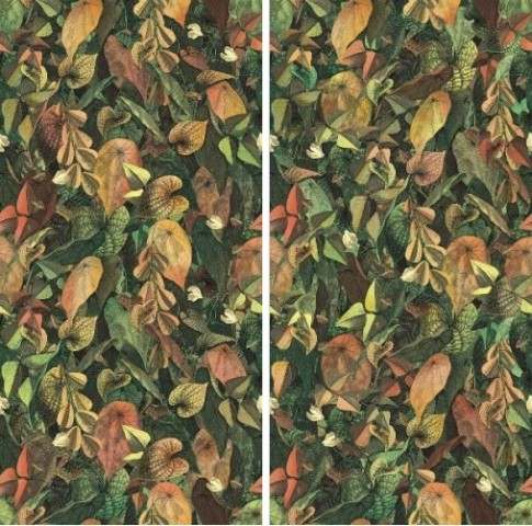 Керамогранит foliage a+b 50x100