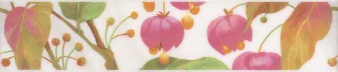 Керамическая плитка бордюр павловск sst\a08\6309 5,4x25