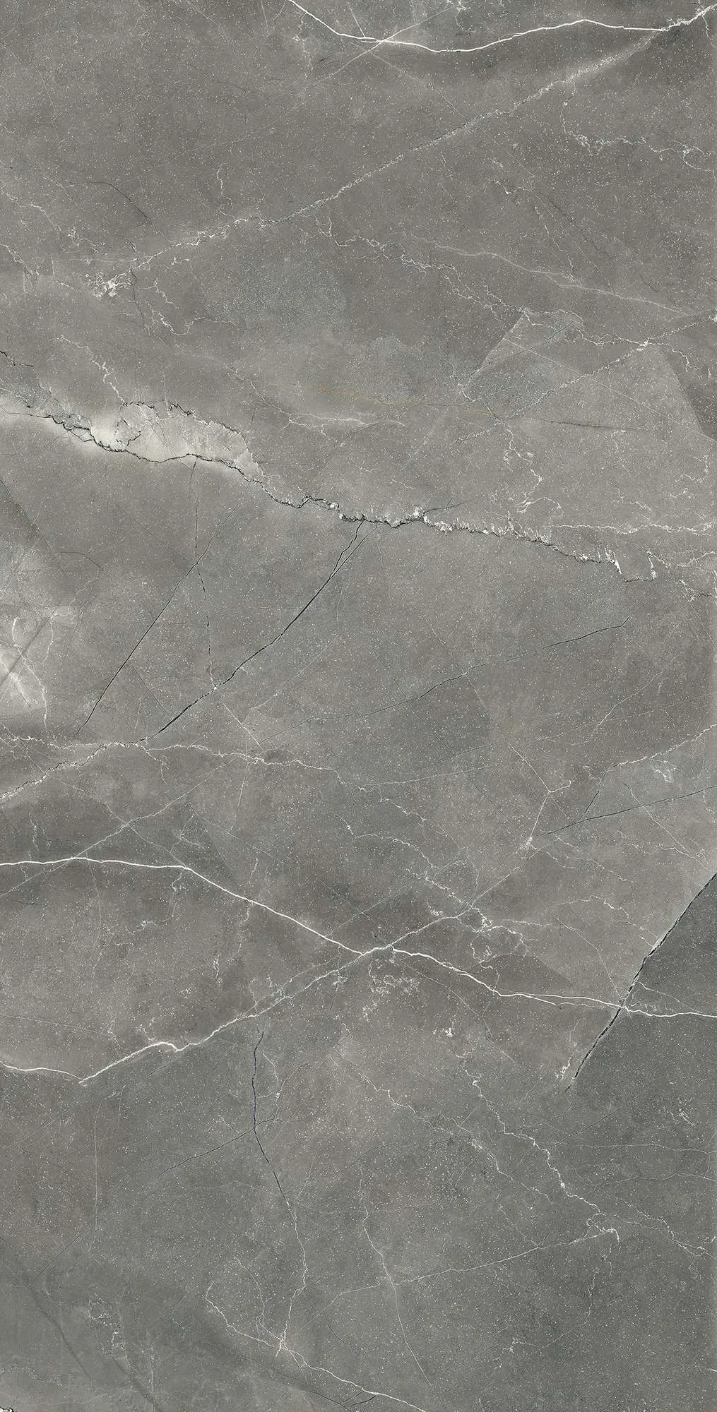 Керамогранит Аркадия Керамика cr4002-a pulpis nero carving carving серый 60x120