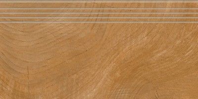 Ступени time ring brown 20x60